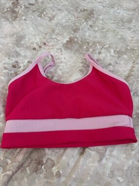 Born Primitive Pink & Light Pink Ribbed Sports Bra